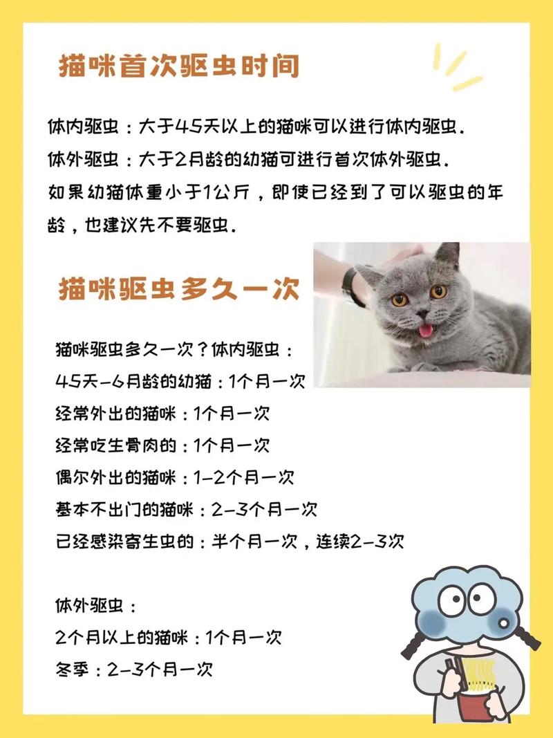 猫咪吃驱虫药注意事项_猫咪吃驱虫药注意事项和禁忌-第1张图片-后鲨宠物 猫咪吃驱虫药注意事项_猫咪吃驱虫药注意事项和禁忌-第1张图片-后鲨宠物