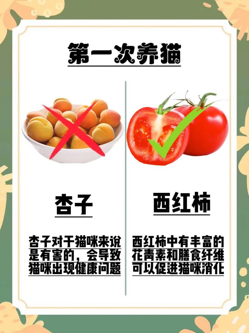 猫咪可以吃芒果干吗,猫咪能吃芒果干么?-第2张图片-后鲨宠物 猫咪可以吃芒果干吗,猫咪能吃芒果干么?-第2张图片-后鲨宠物