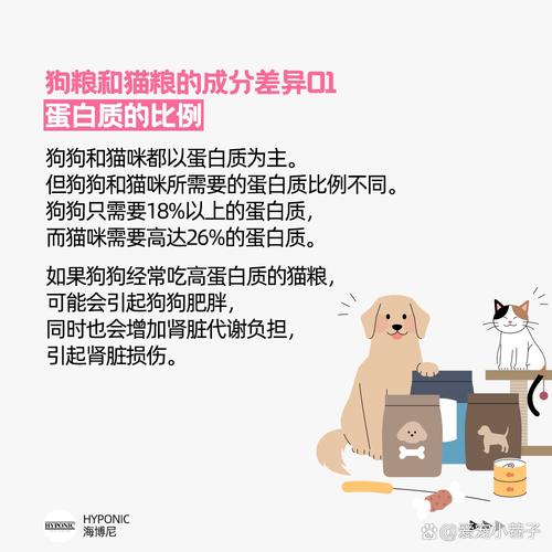狗狗能吃猫粮么,狗狗能吃猫粮么嘛?-第5张图片-后鲨宠物 狗狗能吃猫粮么,狗狗能吃猫粮么嘛?-第5张图片-后鲨宠物