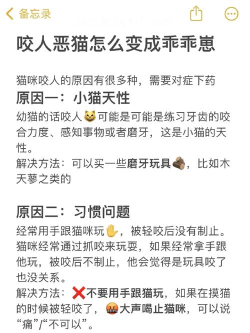 猫咪为什么咬主人_猫咪为什么咬主人的头发