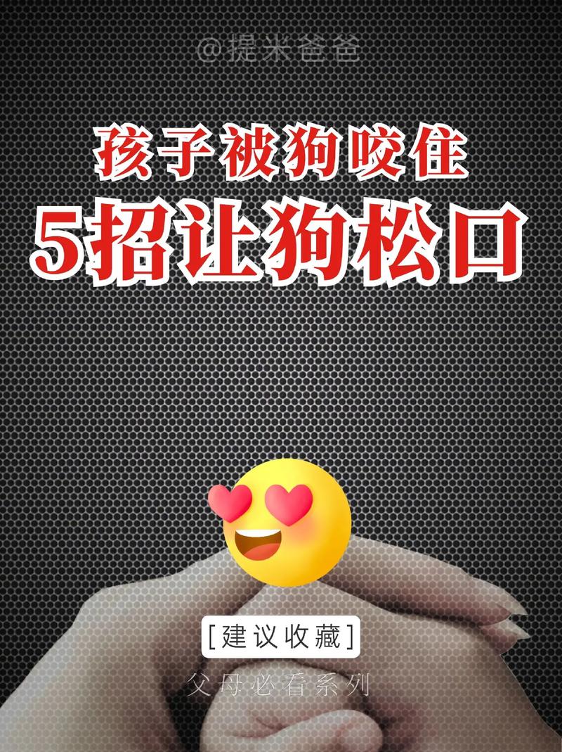 怎么教狗狗不咬人,怎么教狗狗不乱咬人-第2张图片-后鲨宠物 怎么教狗狗不咬人,怎么教狗狗不乱咬人-第2张图片-后鲨宠物