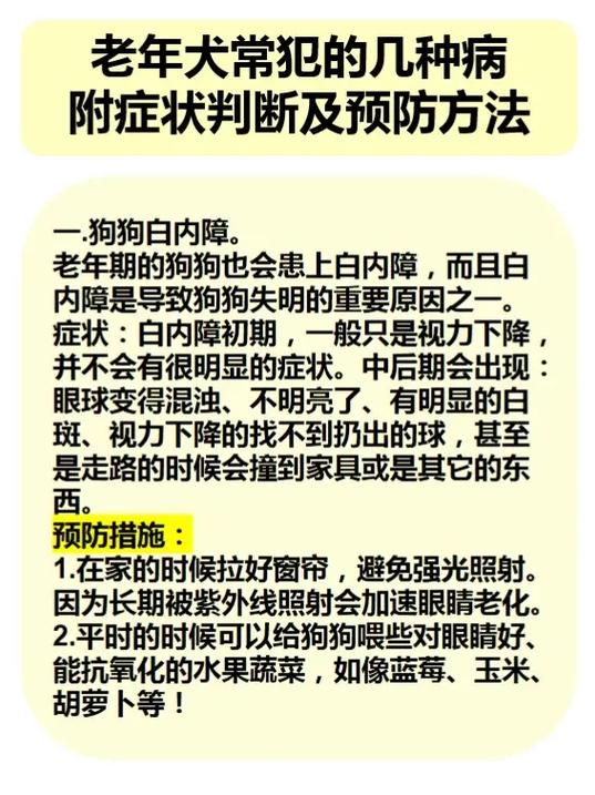 狗狗白内障的症状初期_狗狗得了白内障怎么办-第6张图片-后鲨宠物 狗狗白内障的症状初期_狗狗得了白内障怎么办-第6张图片-后鲨宠物