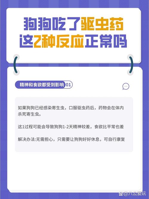 狗狗吃完驱虫药的反应_怎么知道狗驱虫驱干净了-第3张图片-后鲨宠物
