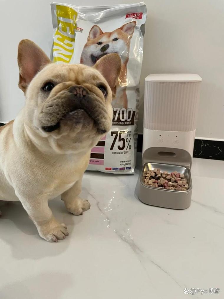 狗狗能吃柚子么,狗狗可以吃柚子吗??-第1张图片-后鲨宠物 狗狗能吃柚子么,狗狗可以吃柚子吗??-第1张图片-后鲨宠物