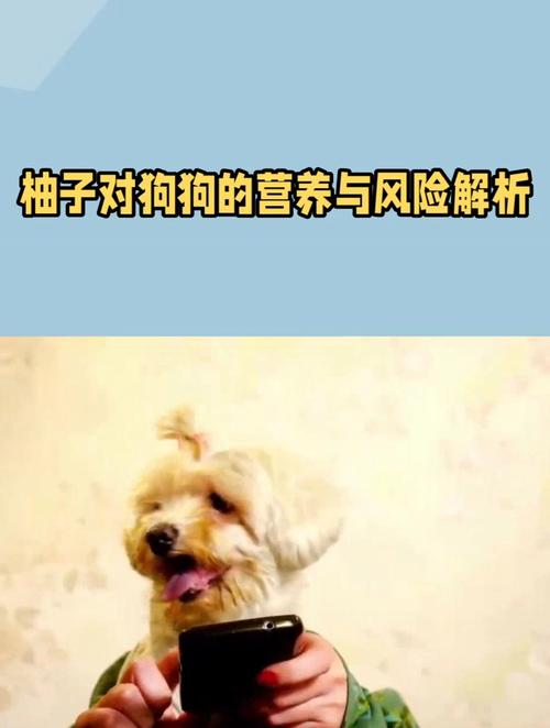 狗狗能吃柚子么,狗狗可以吃柚子吗??-第5张图片-后鲨宠物 狗狗能吃柚子么,狗狗可以吃柚子吗??-第5张图片-后鲨宠物