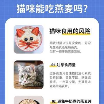猫咪可以吃燕麦片吗,猫咪可以吃燕麦么?-第2张图片-后鲨宠物 猫咪可以吃燕麦片吗,猫咪可以吃燕麦么?-第2张图片-后鲨宠物