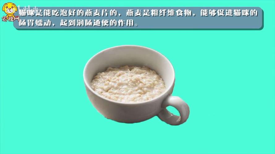 猫咪可以吃燕麦片吗,猫咪可以吃燕麦么?-第5张图片-后鲨宠物 猫咪可以吃燕麦片吗,猫咪可以吃燕麦么?-第5张图片-后鲨宠物