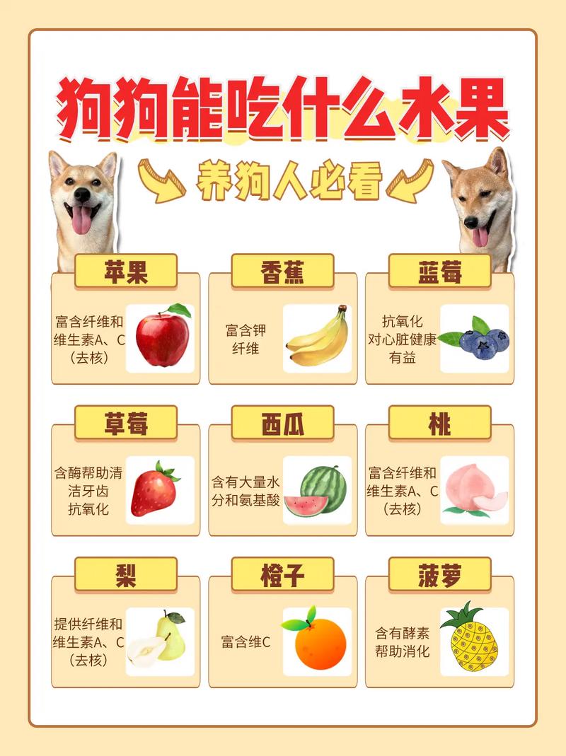 狗狗可以吃西柚吗_小狗可以吃西柚-第6张图片-后鲨宠物 狗狗可以吃西柚吗_小狗可以吃西柚-第6张图片-后鲨宠物