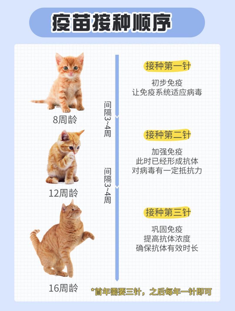 猫咪驱虫后多久打疫苗,猫咪驱虫后几天可以打疫苗-第4张图片-后鲨宠物 猫咪驱虫后多久打疫苗,猫咪驱虫后几天可以打疫苗-第4张图片-后鲨宠物
