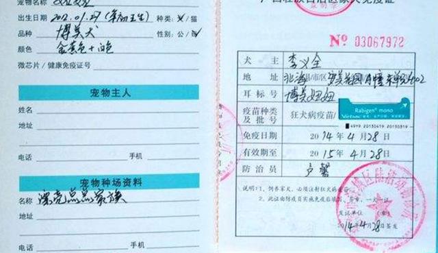 狗狗免疫证怎么办_狗狗免疫证怎么办要多少钱-第2张图片-后鲨宠物