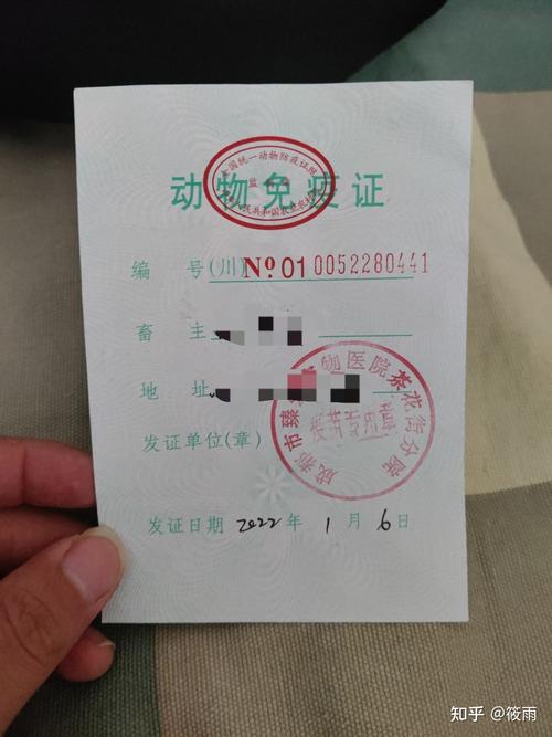 狗狗免疫证怎么办_狗狗免疫证怎么办要多少钱-第5张图片-后鲨宠物