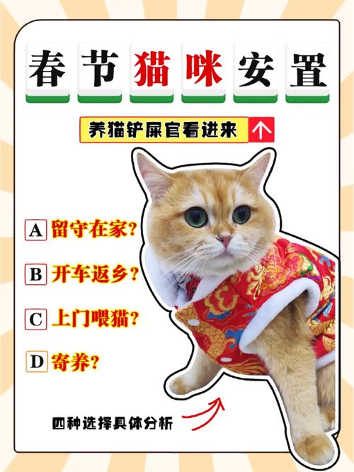 过年回家猫咪怎么办_过年回家猫咪带回家可以么