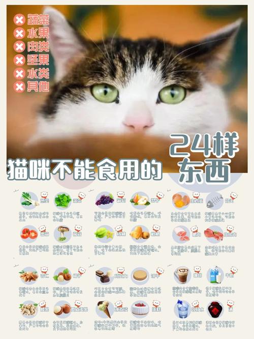 猫猫能吃猪肉吗,猫猫能吃猪肉嘛?-第2张图片-后鲨宠物 猫猫能吃猪肉吗,猫猫能吃猪肉嘛?-第2张图片-后鲨宠物