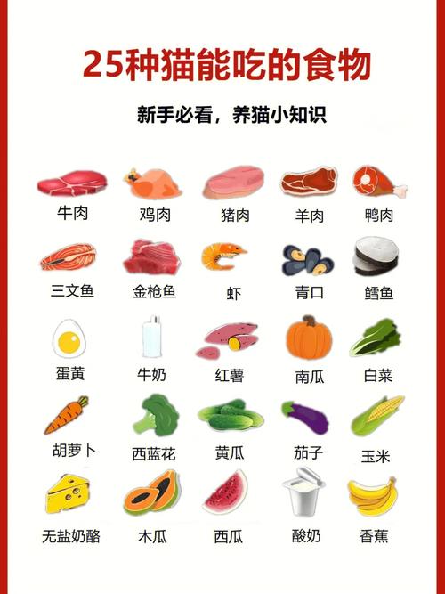 猫猫能吃猪肉吗,猫猫能吃猪肉嘛?-第4张图片-后鲨宠物 猫猫能吃猪肉吗,猫猫能吃猪肉嘛?-第4张图片-后鲨宠物