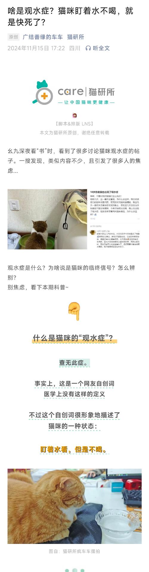 猫咪观水症多久会死，猫咪观水症多久会死亡？-第4张图片-后鲨宠物