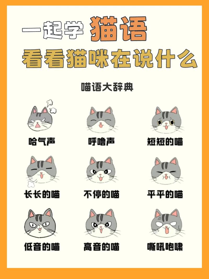 猫咪之间怎么交流,猫咪之间怎么交流视频?-第5张图片-后鲨宠物 猫咪之间怎么交流,猫咪之间怎么交流视频?-第5张图片-后鲨宠物