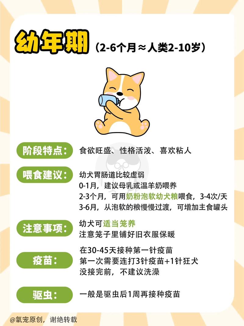 狗狗年龄对照表_狗狗年龄对照表2024-第5张图片-后鲨宠物 狗狗年龄对照表_狗狗年龄对照表2024-第5张图片-后鲨宠物