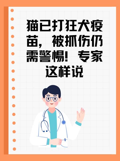 猫咪要不要打狂犬疫苗_猫咪打狂犬疫苗多少钱-第4张图片-后鲨宠物