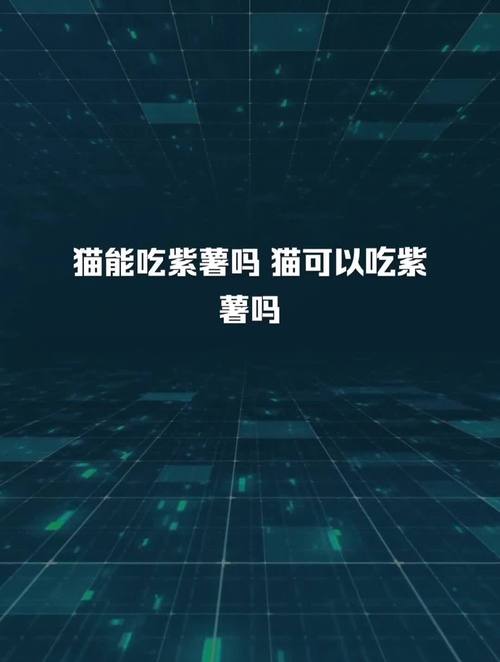 猫咪能吃紫薯吗_猫咪能吃紫薯吗熟的-第1张图片-后鲨宠物 猫咪能吃紫薯吗_猫咪能吃紫薯吗熟的-第1张图片-后鲨宠物