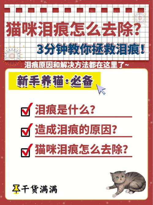 猫咪泪痕重怎么办,猫咪泪痕重怎么办呢-第2张图片-后鲨宠物 猫咪泪痕重怎么办,猫咪泪痕重怎么办呢-第2张图片-后鲨宠物
