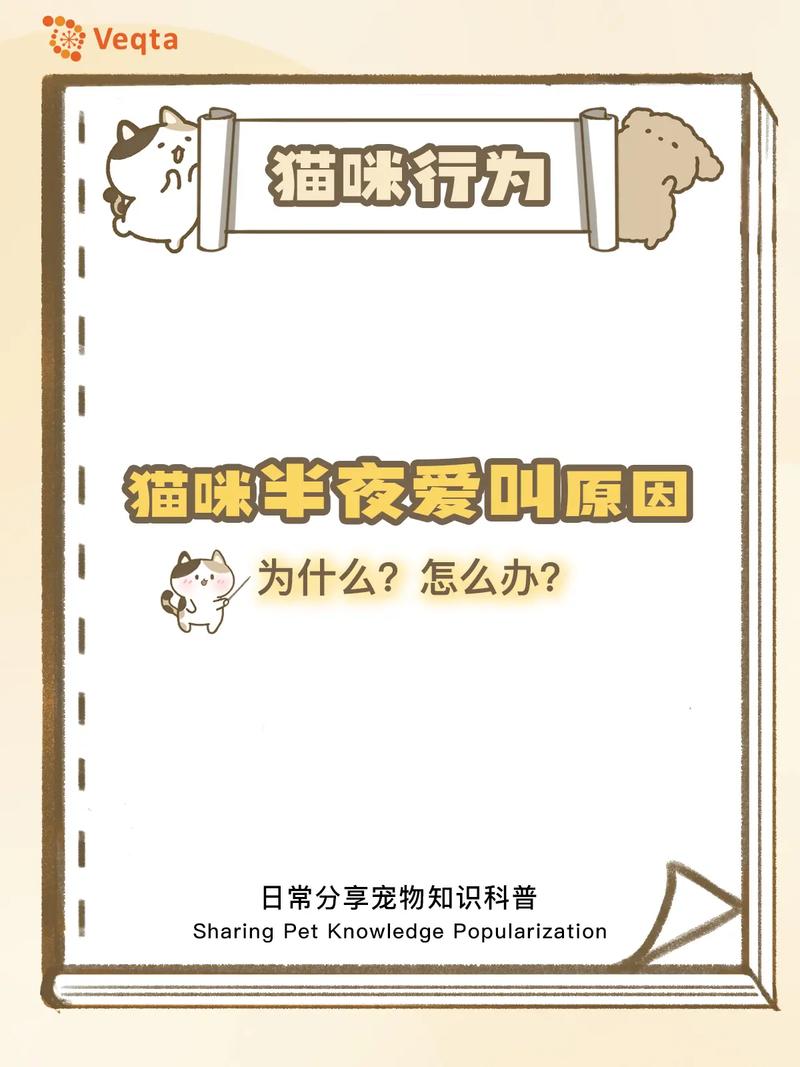 为什么猫咪一直叫_为什么猫咪一直叫唤不停-第3张图片-后鲨宠物