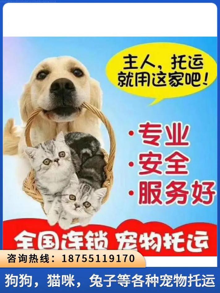 什么快递可以寄狗狗_什么快递可以寄狗-第2张图片-后鲨宠物 什么快递可以寄狗狗_什么快递可以寄狗-第2张图片-后鲨宠物