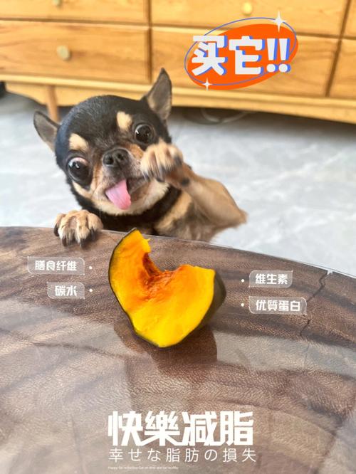 狗狗可以吃南瓜吗，狗狗可以吃南瓜吗怎么吃？