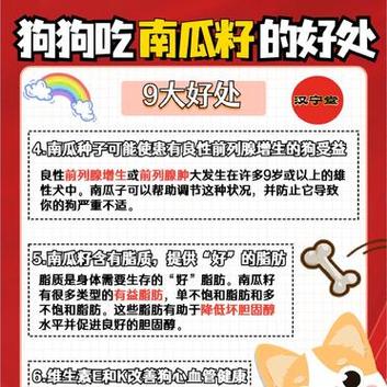 狗狗可以吃南瓜吗,狗狗可以吃南瓜吗怎么吃?-第5张图片-后鲨宠物 狗狗可以吃南瓜吗,狗狗可以吃南瓜吗怎么吃?-第5张图片-后鲨宠物