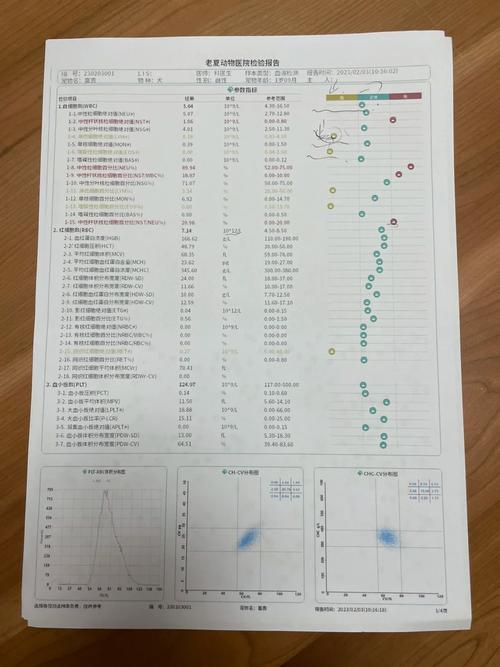 狗狗检测细小多少钱_狗狗细小测试多少钱-第2张图片-后鲨宠物 狗狗检测细小多少钱_狗狗细小测试多少钱-第2张图片-后鲨宠物