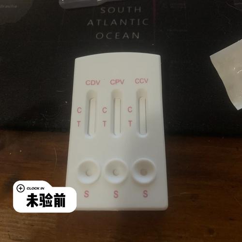 狗狗检测细小多少钱_狗狗细小测试多少钱-第3张图片-后鲨宠物 狗狗检测细小多少钱_狗狗细小测试多少钱-第3张图片-后鲨宠物