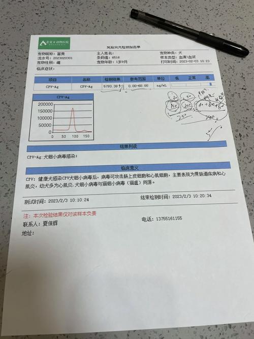 狗狗检测细小多少钱_狗狗细小测试多少钱-第4张图片-后鲨宠物 狗狗检测细小多少钱_狗狗细小测试多少钱-第4张图片-后鲨宠物