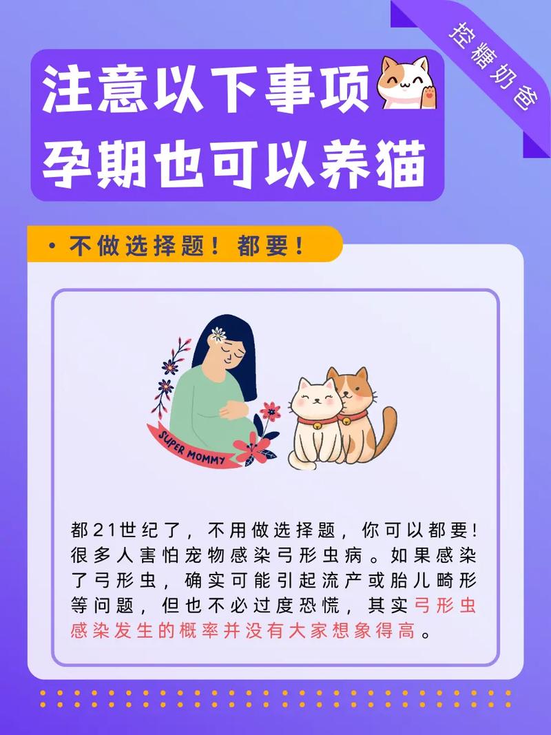  孕妇可以养猫咪吗，孕妇可以养猫咪吗生男生女-第2张图片-后鲨宠物