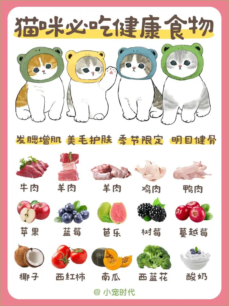 猫咪补充维生素,猫咪补充维生素吃什么-第1张图片-后鲨宠物 猫咪补充维生素,猫咪补充维生素吃什么-第1张图片-后鲨宠物