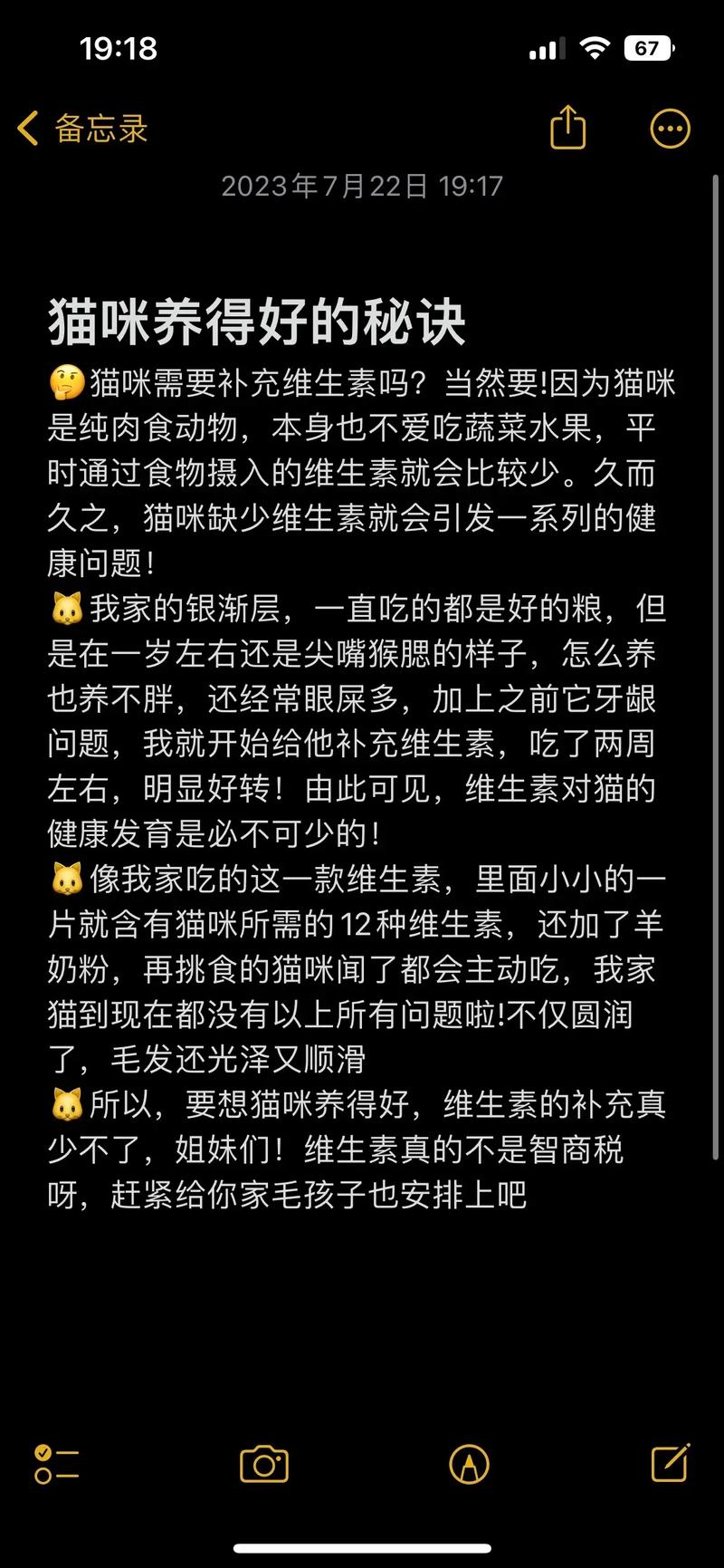 猫咪补充维生素,猫咪补充维生素吃什么-第4张图片-后鲨宠物 猫咪补充维生素,猫咪补充维生素吃什么-第4张图片-后鲨宠物