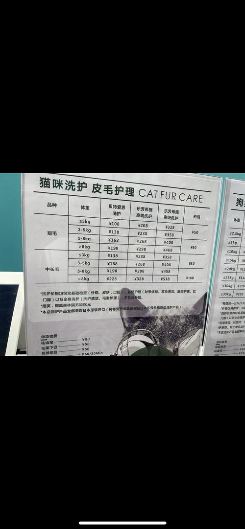 宠物店猫咪洗澡多少钱_宠物店猫咪洗澡多少钱一只-第3张图片-后鲨宠物 宠物店猫咪洗澡多少钱_宠物店猫咪洗澡多少钱一只-第3张图片-后鲨宠物