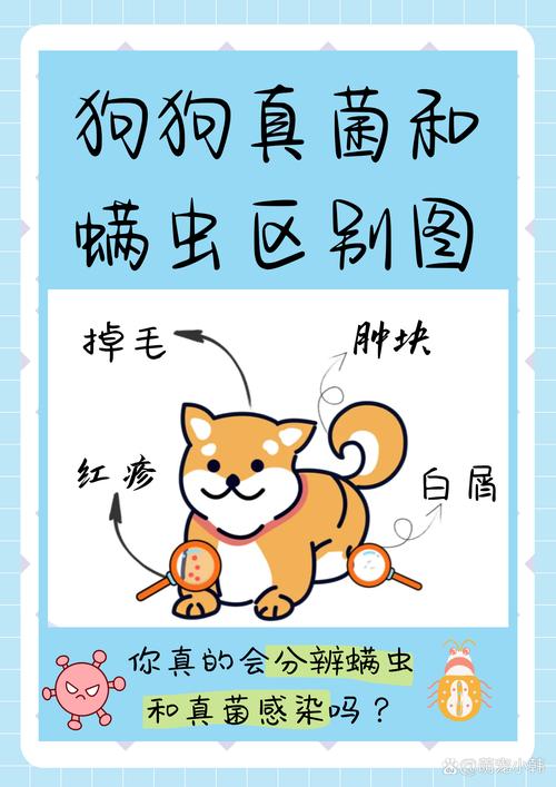 怎么看狗狗有没有生病_怎么判断狗狗有没有生病?-第2张图片-后鲨宠物 怎么看狗狗有没有生病_怎么判断狗狗有没有生病?-第2张图片-后鲨宠物