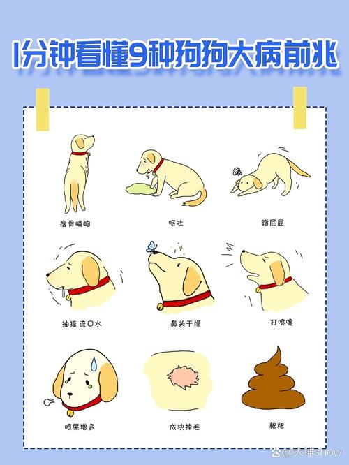 怎么看狗狗有没有生病_怎么判断狗狗有没有生病?-第5张图片-后鲨宠物 怎么看狗狗有没有生病_怎么判断狗狗有没有生病?-第5张图片-后鲨宠物