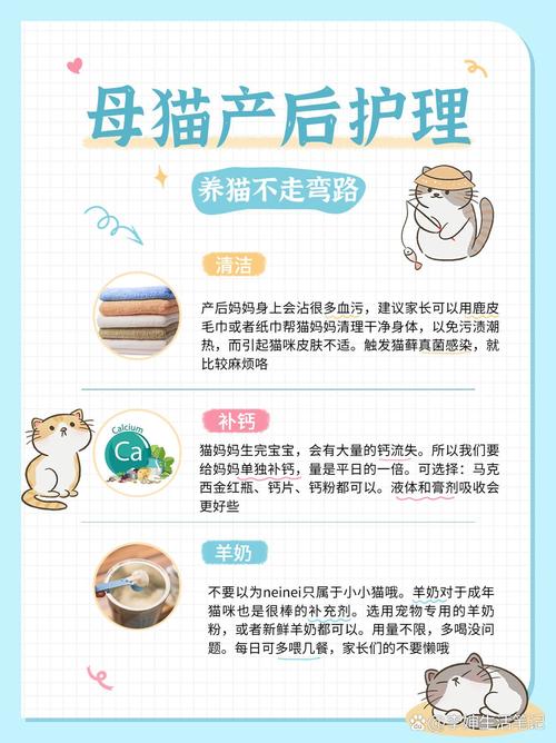 猫咪剖腹产后注意事项_猫咪剖腹产后注意事项有哪些-第5张图片-后鲨宠物 猫咪剖腹产后注意事项_猫咪剖腹产后注意事项有哪些-第5张图片-后鲨宠物