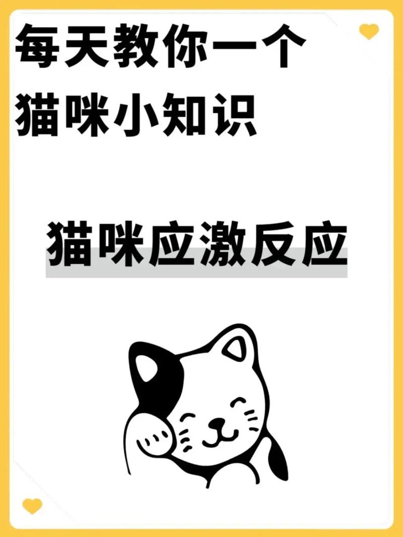 猫咪应激反应怎么办,猫咪应激反应会引起什么病?-第2张图片-后鲨宠物 猫咪应激反应怎么办,猫咪应激反应会引起什么病?-第2张图片-后鲨宠物