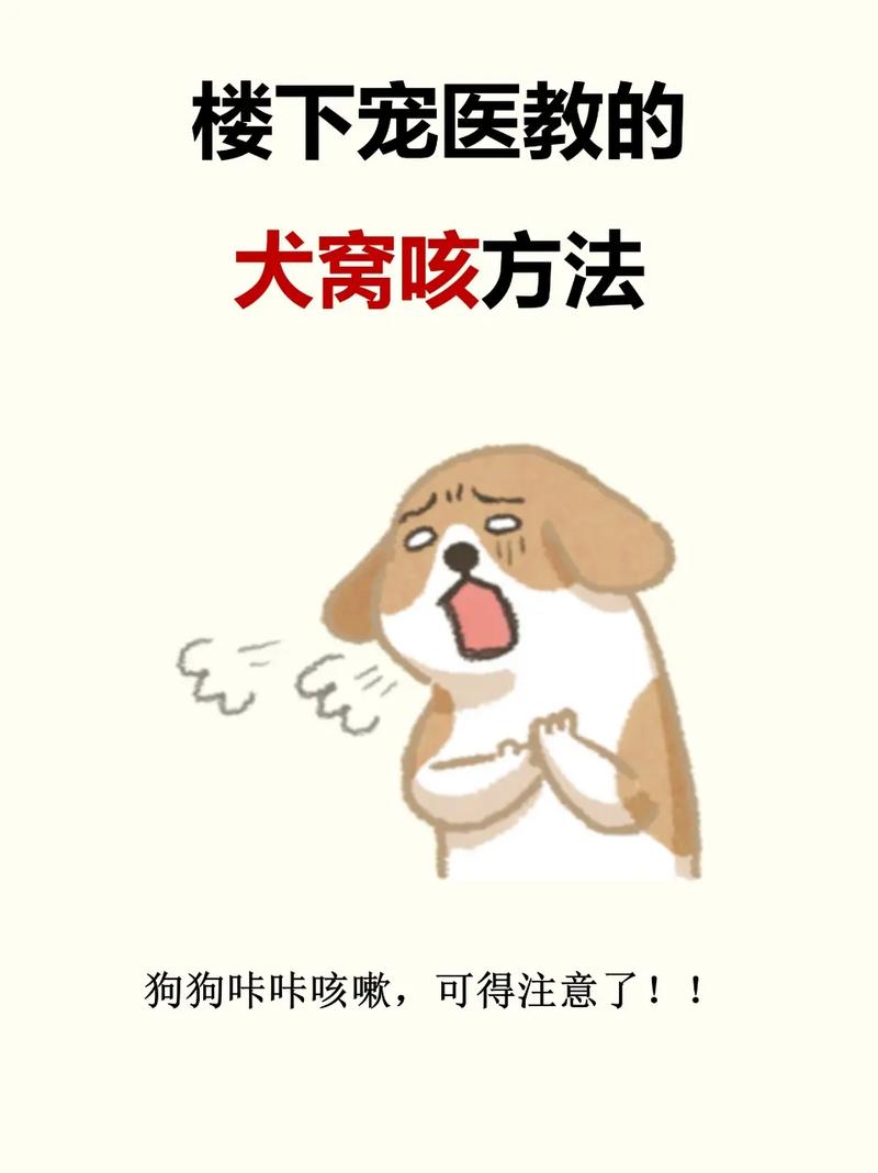 小狗狗咳嗽是怎么回事,小狗咳嗽该怎么办?-第2张图片-后鲨宠物 小狗狗咳嗽是怎么回事,小狗咳嗽该怎么办?-第2张图片-后鲨宠物