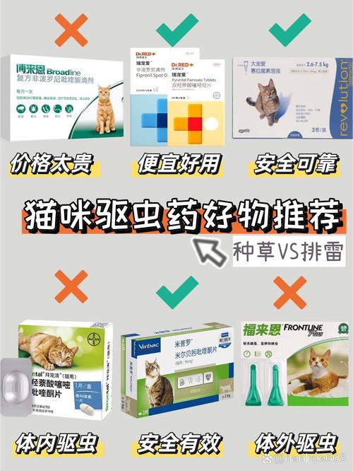 猫咪体内驱虫药什么牌子好_猫咪体内驱虫药什么牌子好点-第3张图片-后鲨宠物 猫咪体内驱虫药什么牌子好_猫咪体内驱虫药什么牌子好点-第3张图片-后鲨宠物