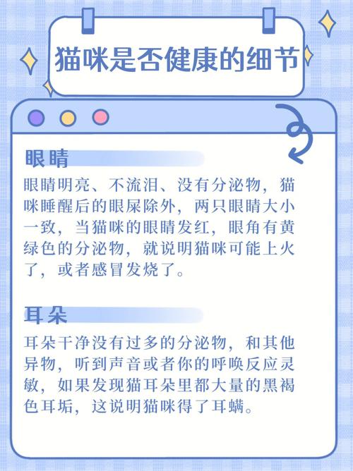 猫咪健康的表现,猫咪健康的表现图片?-第4张图片-后鲨宠物 猫咪健康的表现,猫咪健康的表现图片?-第4张图片-后鲨宠物