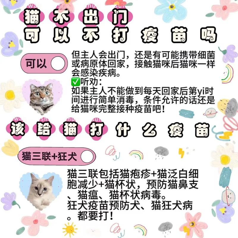 猫猫多大打疫苗,猫猫多大打疫苗合适-第4张图片-后鲨宠物 猫猫多大打疫苗,猫猫多大打疫苗合适-第4张图片-后鲨宠物