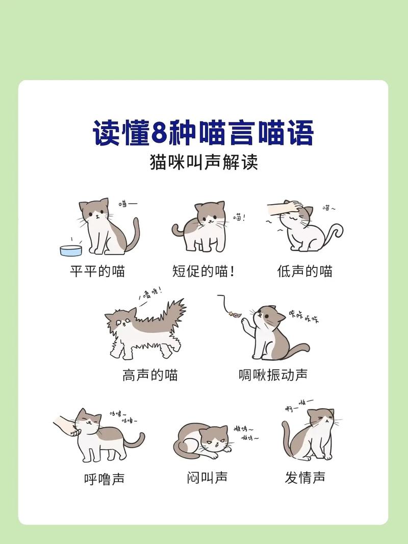 猫猫叫的声音,猫猫叫的声音视频?-第2张图片-后鲨宠物 猫猫叫的声音,猫猫叫的声音视频?-第2张图片-后鲨宠物