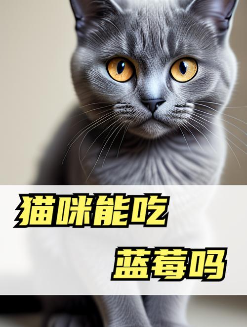 猫咪能吃蓝莓吗_猫咪能吃蓝莓吗会中毒吗-第1张图片-后鲨宠物 猫咪能吃蓝莓吗_猫咪能吃蓝莓吗会中毒吗-第1张图片-后鲨宠物