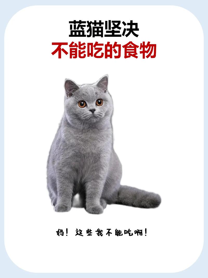猫咪能吃蓝莓吗_猫咪能吃蓝莓吗会中毒吗-第5张图片-后鲨宠物 猫咪能吃蓝莓吗_猫咪能吃蓝莓吗会中毒吗-第5张图片-后鲨宠物