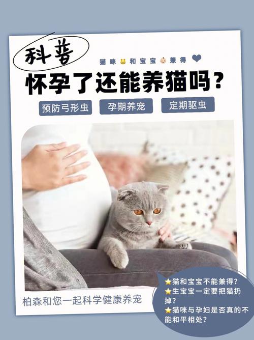 怀孕了可以养猫咪吗,怀孕后可以养猫吗??-第2张图片-后鲨宠物 怀孕了可以养猫咪吗,怀孕后可以养猫吗??-第2张图片-后鲨宠物
