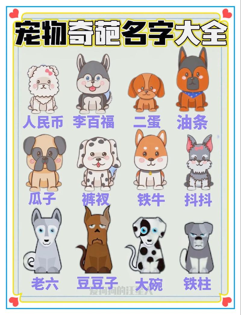 给狗狗取个逗比的名字_给狗狗取个逗比的名字好吗-第6张图片-后鲨宠物 给狗狗取个逗比的名字_给狗狗取个逗比的名字好吗-第6张图片-后鲨宠物