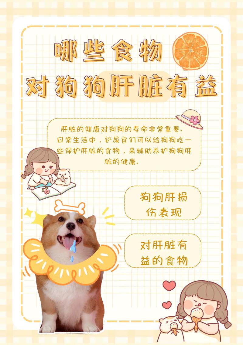  狗狗吃什么肝脏比较好，狗狗吃哪种内脏比较好