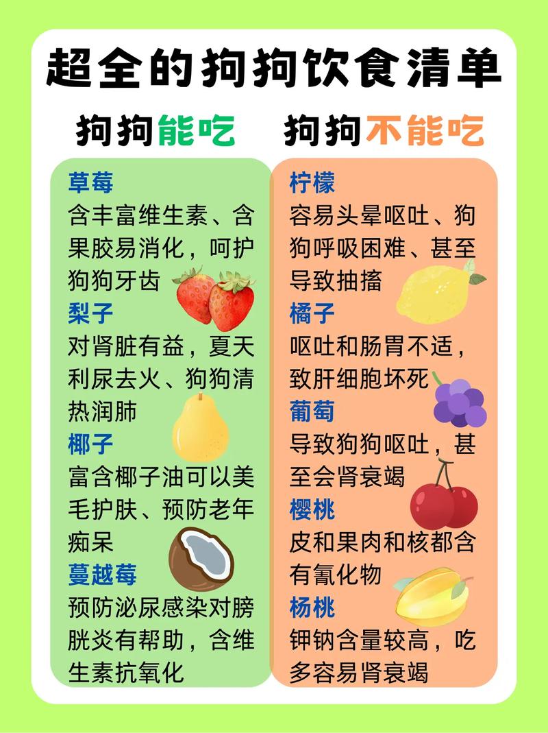 狗狗吃什么肝脏比较好,狗狗吃哪种内脏比较好-第3张图片-后鲨宠物 狗狗吃什么肝脏比较好,狗狗吃哪种内脏比较好-第3张图片-后鲨宠物